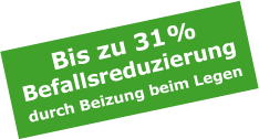 bis zu 31% Befallsreduzierung durch Beizung beim Legen